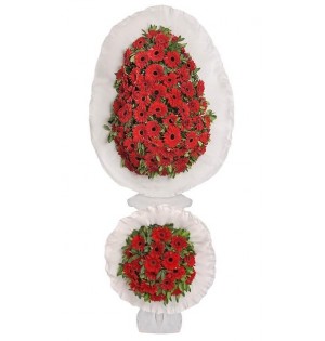 Çiftli Gerbera Çelenk