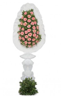 Tekli Pembe Gerbera 
