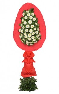 Tekli Beyaz Gerbera 