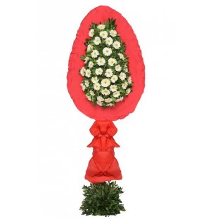 Tekli Beyaz Gerbera 