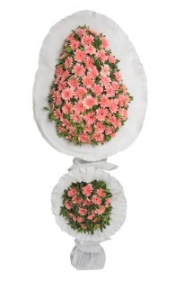 Çiftli Pembe Gerbera 