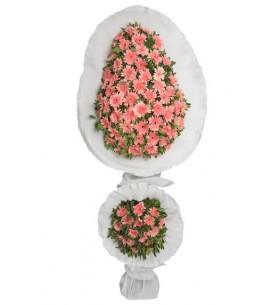 Çiftli Pembe Gerbera 