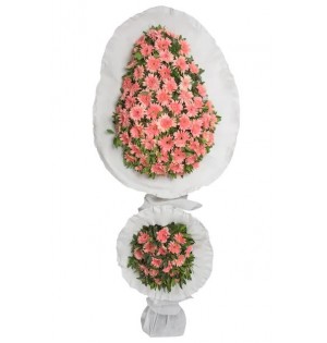 Çiftli Pembe Gerbera 