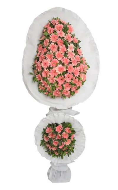 Çiftli Pembe Gerbera 
